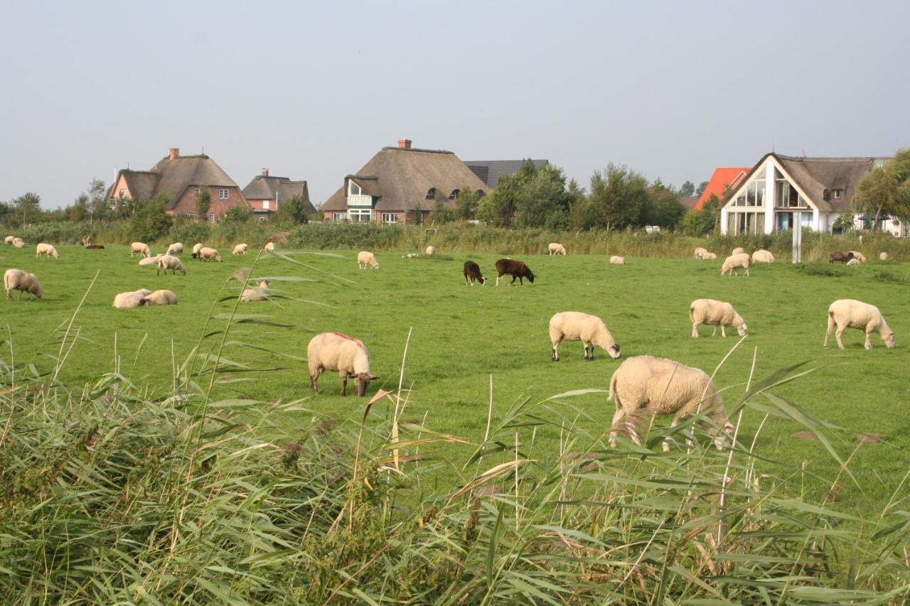 Gaestehaus Gudrun Tönning Exteriér fotografie